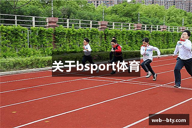 关于bsport体育